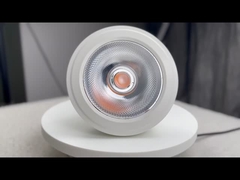 Lampadine a LED PAR30